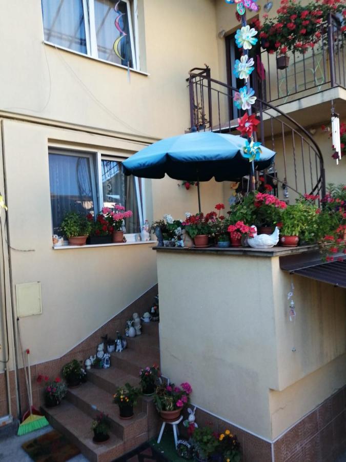 Apartament Cu Doua Camere Si Gradina Kolozsvár Kültér fotó
