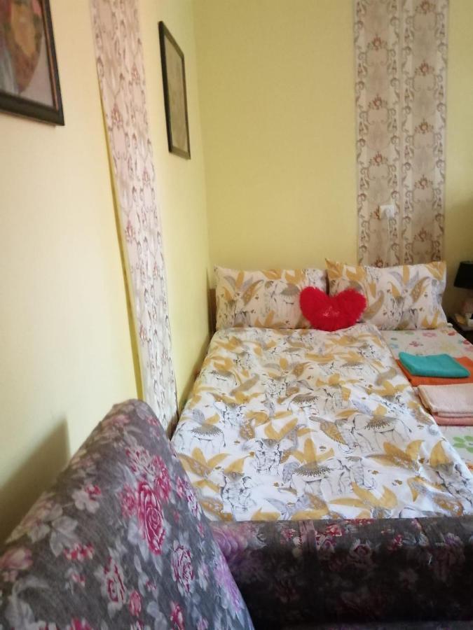 Apartament Cu Doua Camere Si Gradina Kolozsvár Kültér fotó