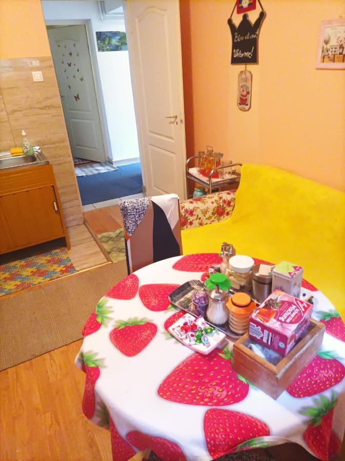 Apartament Cu Doua Camere Si Gradina Kolozsvár Kültér fotó