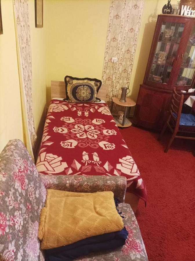 Apartament Cu Doua Camere Si Gradina Kolozsvár Kültér fotó