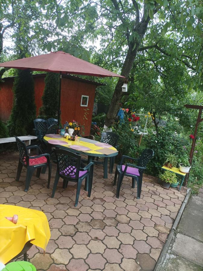 Apartament Cu Doua Camere Si Gradina Kolozsvár Kültér fotó