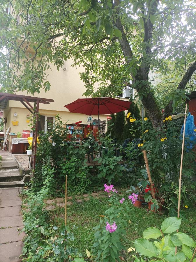 Apartament Cu Doua Camere Si Gradina Kolozsvár Kültér fotó
