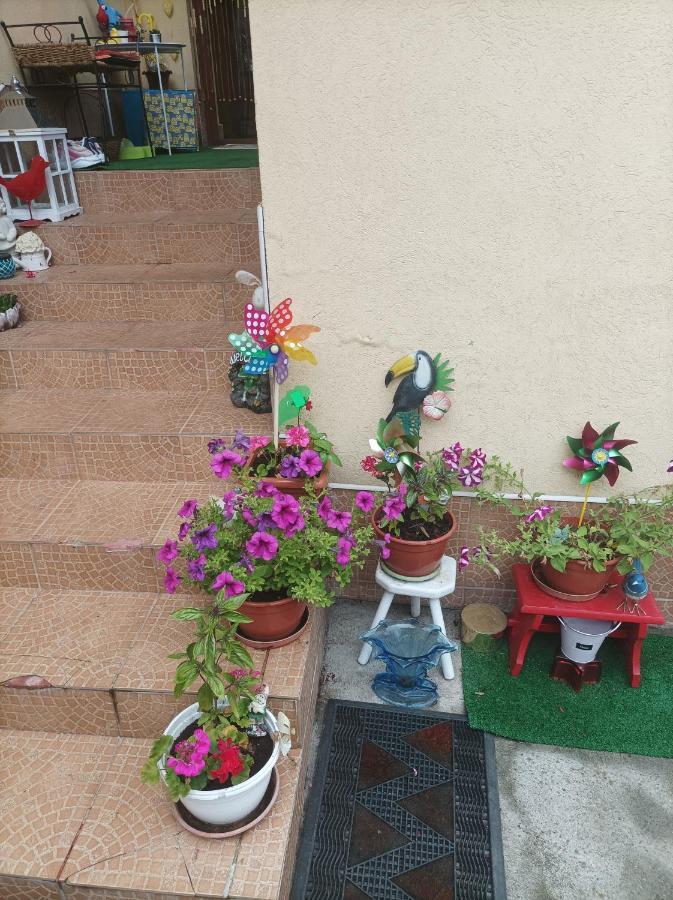 Apartament Cu Doua Camere Si Gradina Kolozsvár Kültér fotó