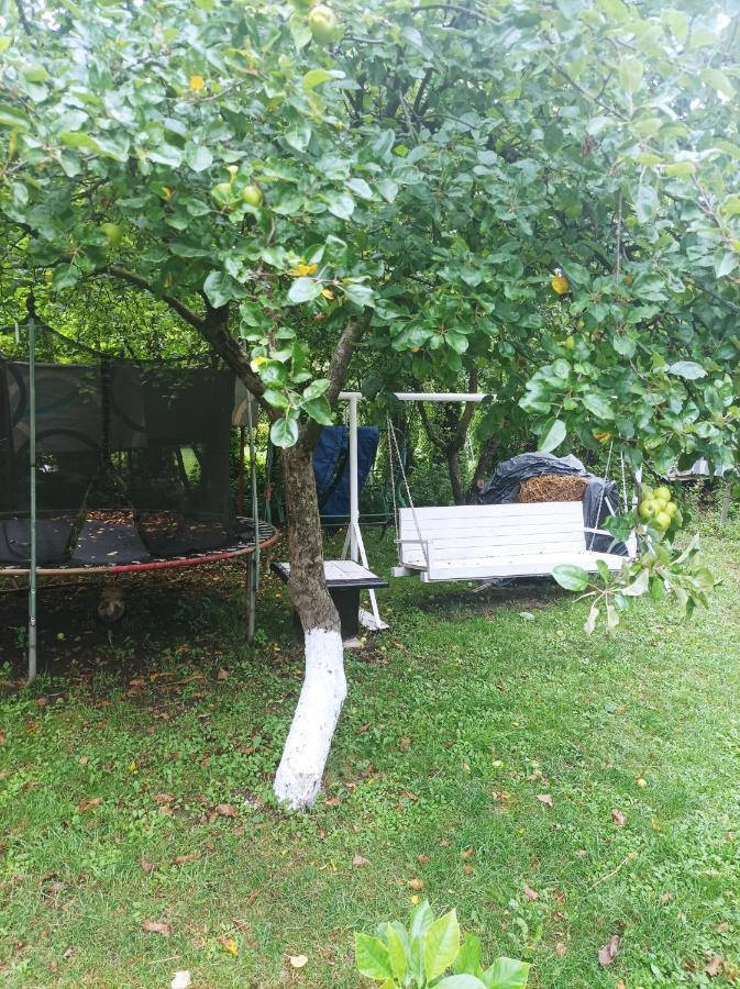 Apartament Cu Doua Camere Si Gradina Kolozsvár Kültér fotó